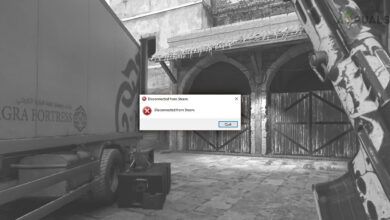 MW2 Disconnected from Steam