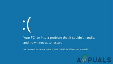 Blue Screen of Death after system reset