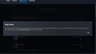 Error adding friends on Steam
