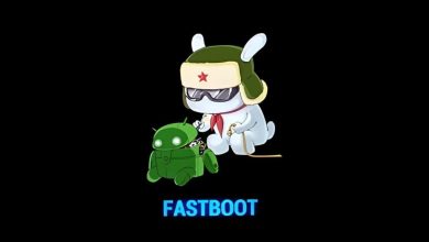 An image of Xiaomi's Fastboot mode.