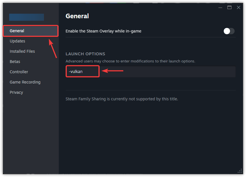 Steam launch options window with Vulkan parameter entered